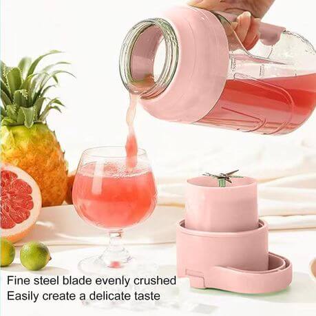 Fruit juicer Stainless Steel Blade Jug Blender